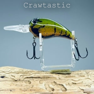 Rock Dweller – Backyard Baits