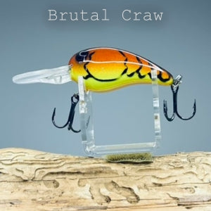Rock Dweller – Backyard Baits